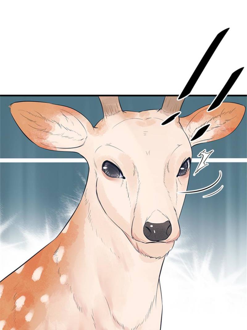 Page 13 of Chapter 103