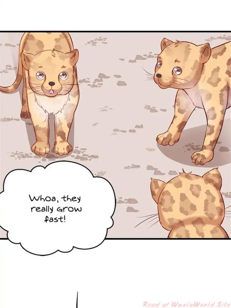 Page 37 of Chapter 108