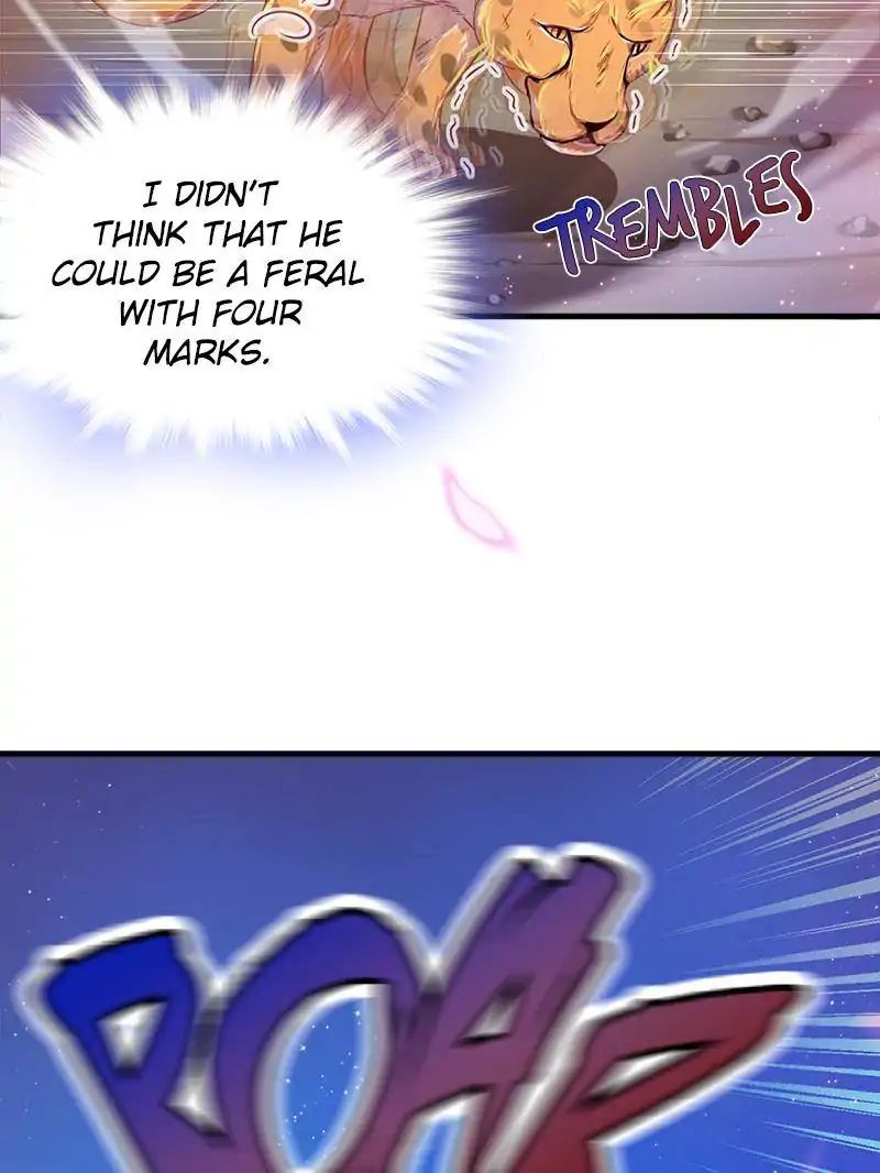 Page 33 of Chapter 11