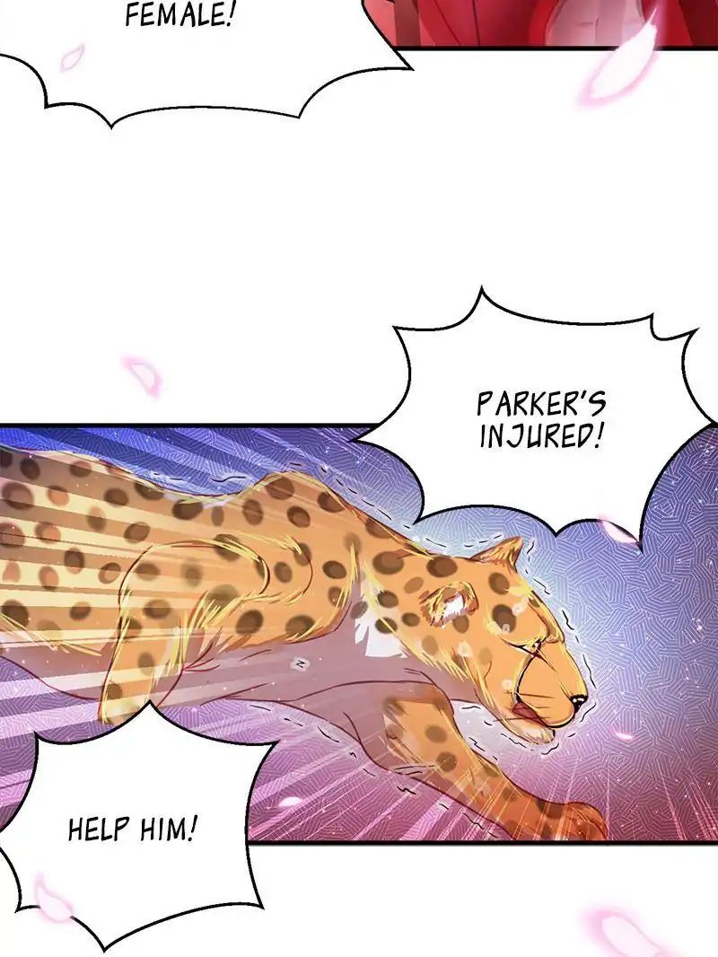 Page 41 of Chapter 11