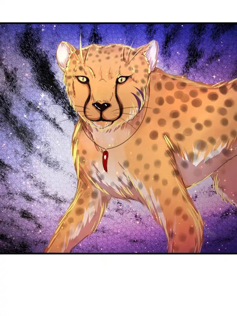 Page 53 of Chapter 11
