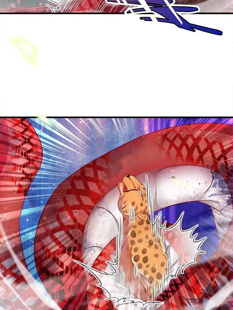Page 55 of Chapter 11