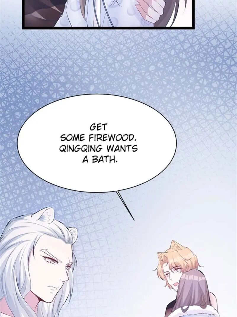 Page 13 of Chapter 114