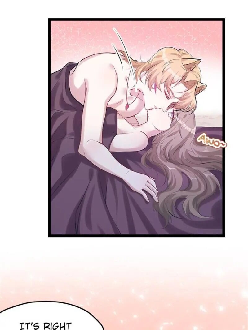 Page 29 of Chapter 114