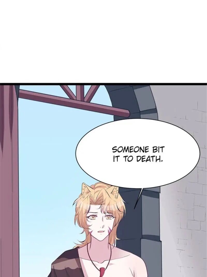 Page 49 of Chapter 114