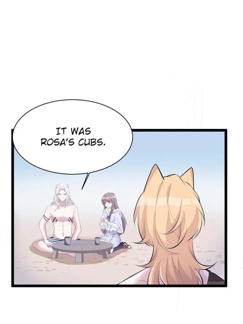 Page 51 of Chapter 114