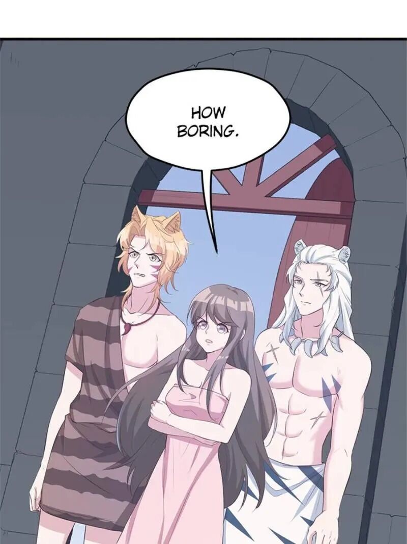 Page 5 of Chapter 117