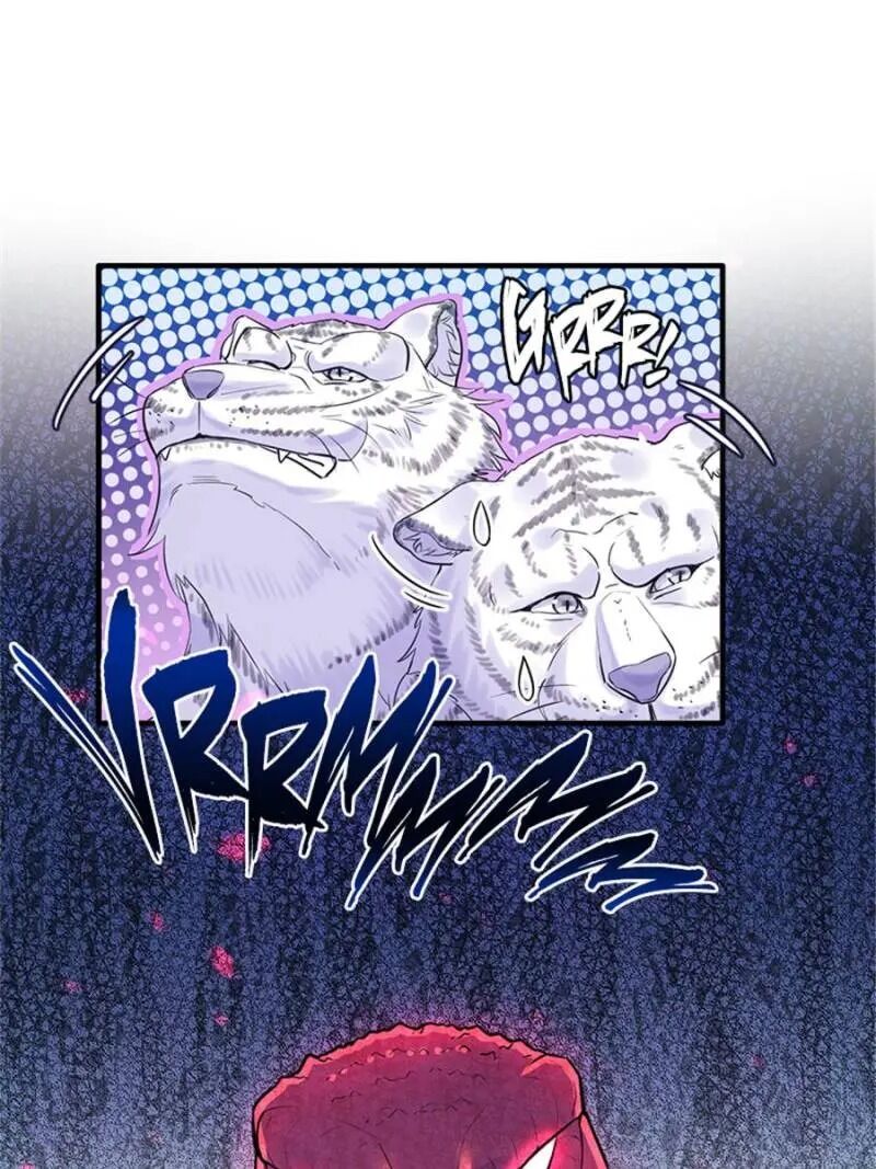 Page 12 of Chapter 127