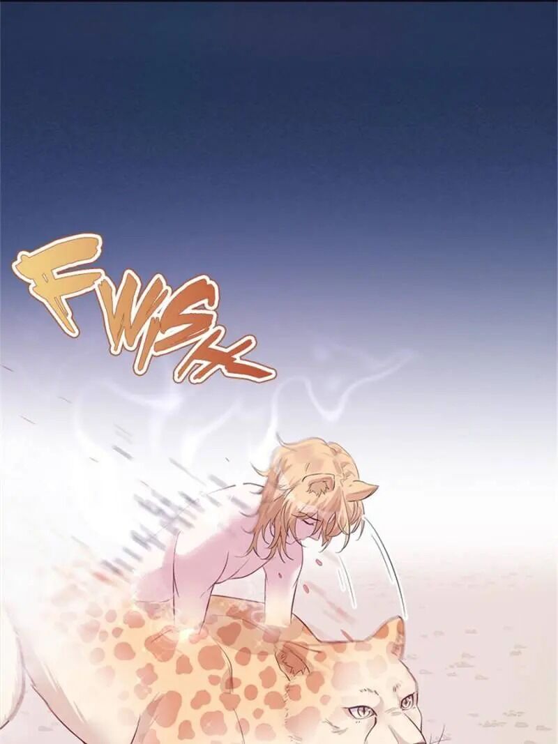 Page 17 of Chapter 127