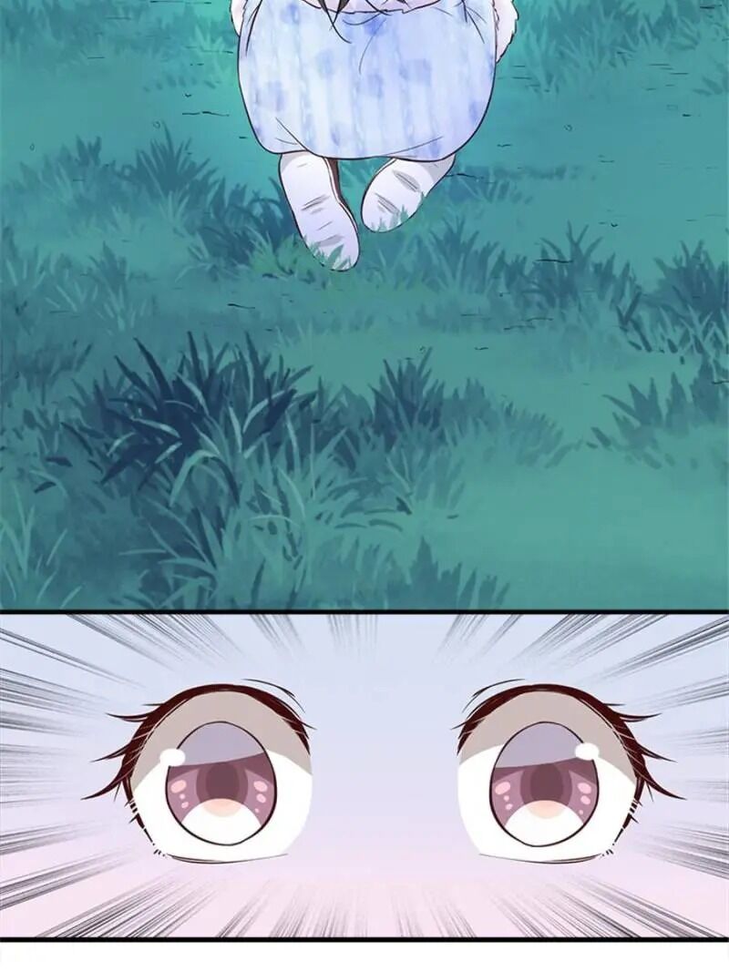 Page 33 of Chapter 129