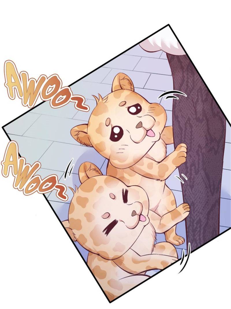 Page 43 of Chapter 144