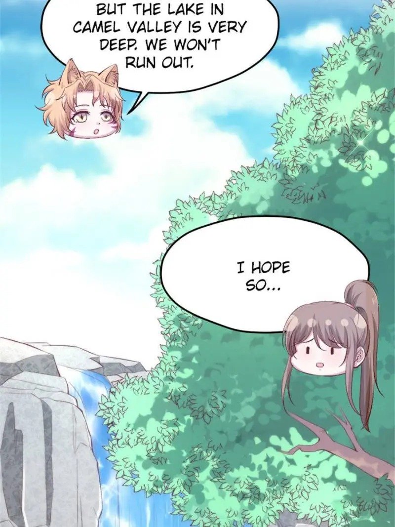 Page 14 of Chapter 155