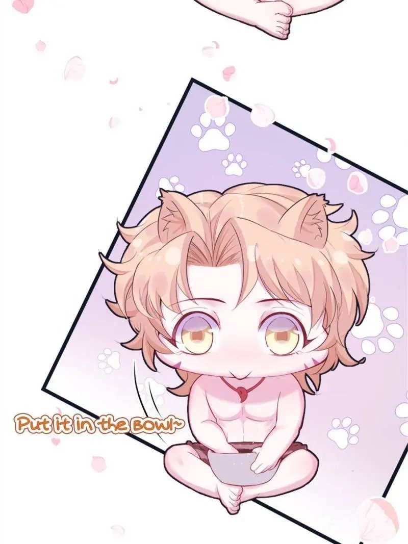 Page 40 of Chapter 155