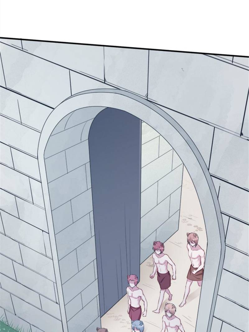 Page 13 of Chapter 156