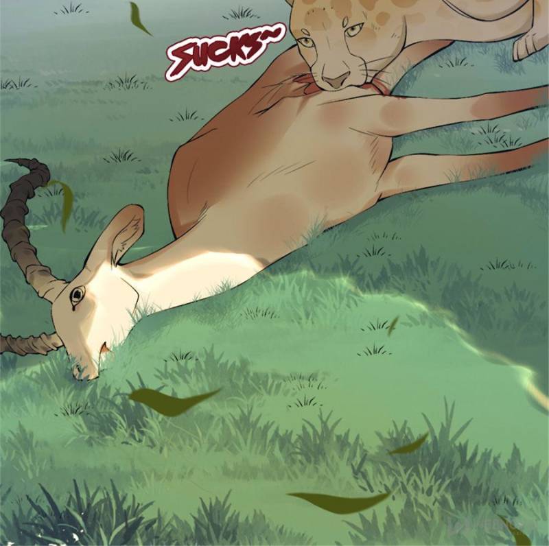 Page 41 of Chapter 156