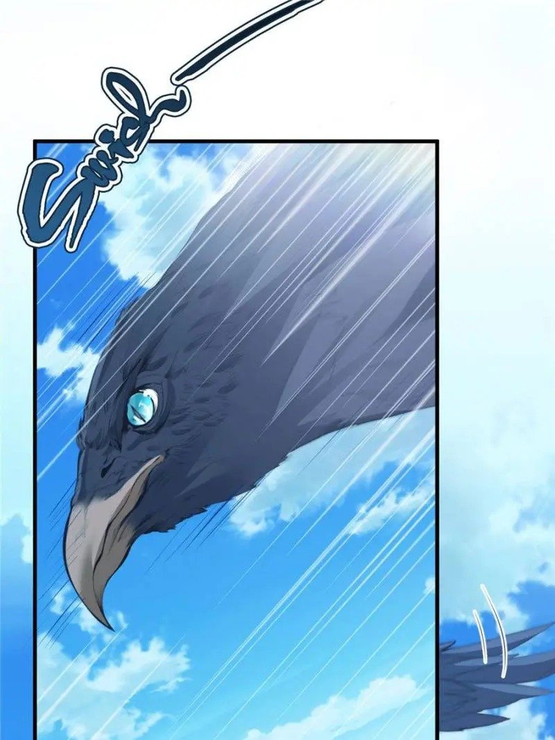 Page 49 of Chapter 169