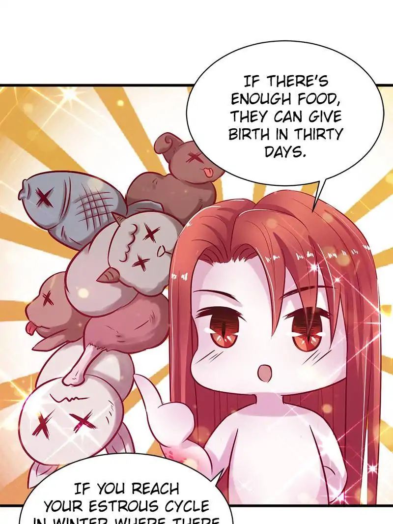 Page 41 of Chapter 19