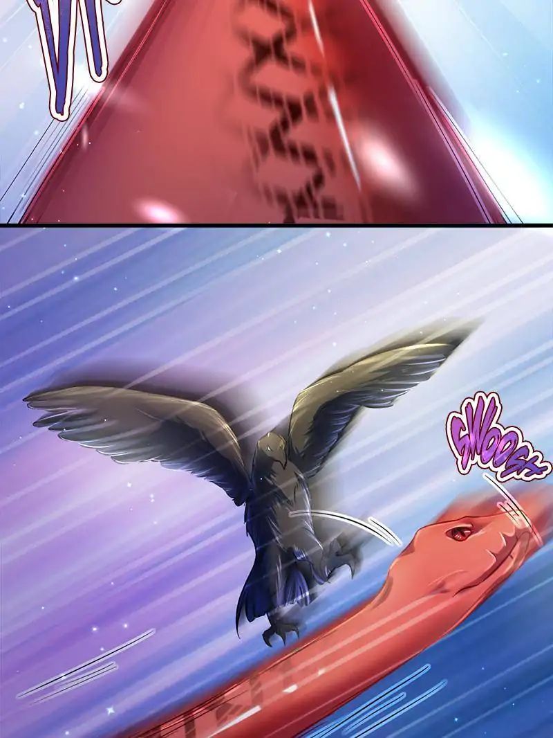 Page 17 of Chapter 24