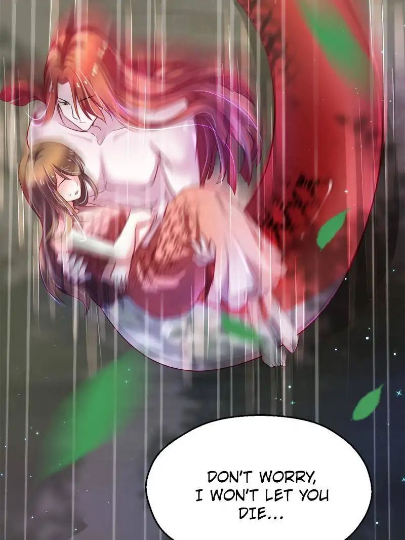 Page 14 of Chapter 26