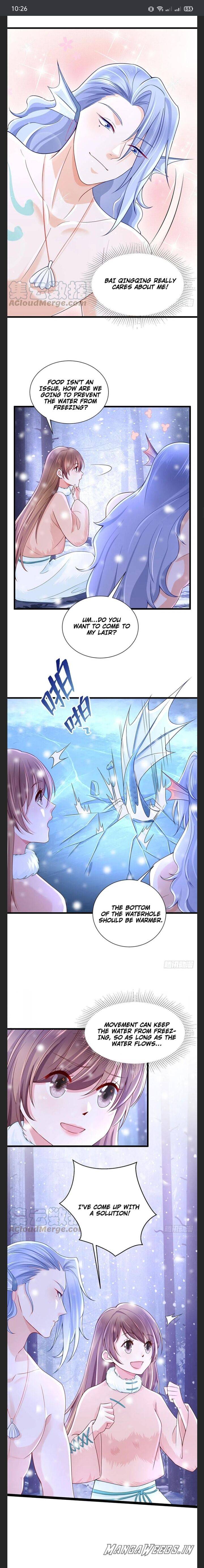 Page 13 of Chapter 266