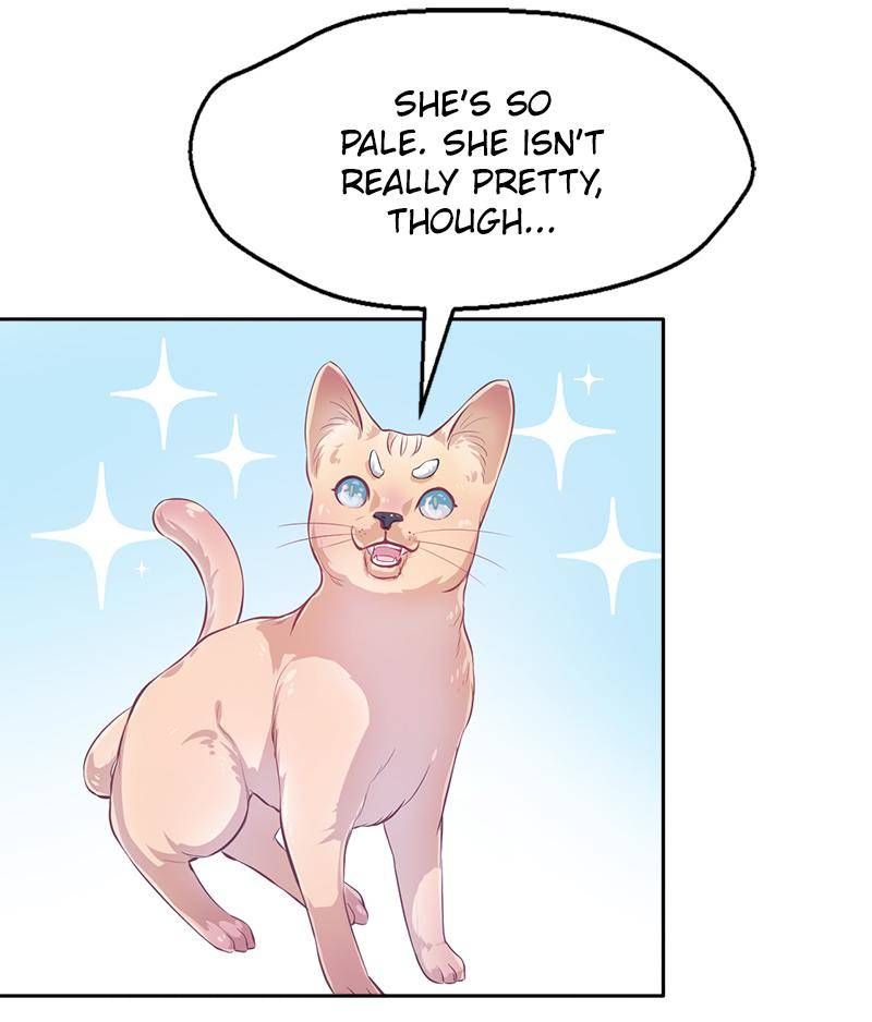 Page 26 of Chapter 280.5