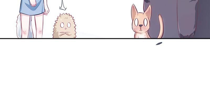 Page 29 of Chapter 280.5