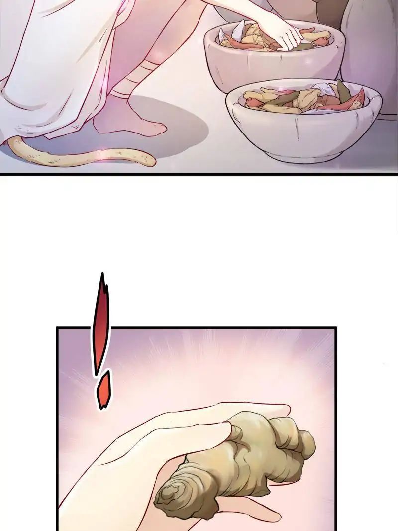 Page 33 of Chapter 3