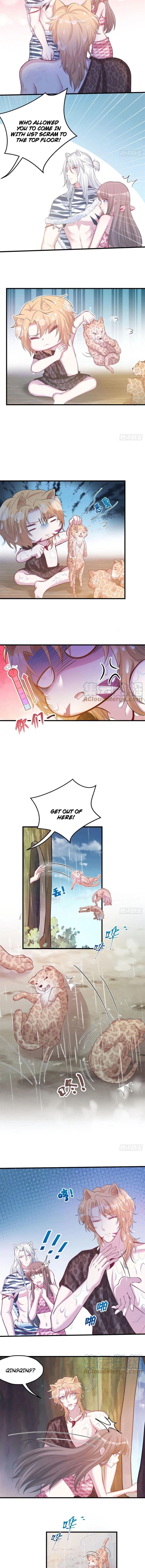 Page 5 of Chapter 300