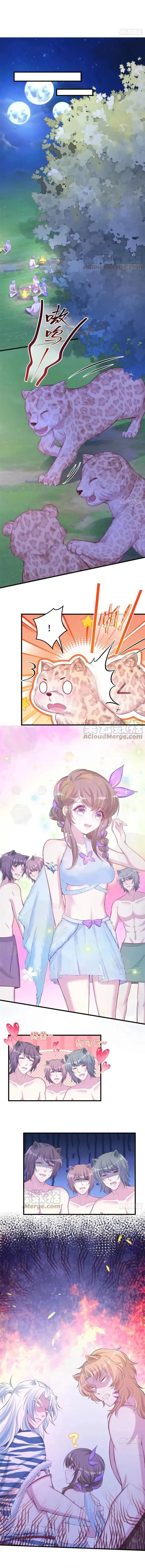 Page 3 of Chapter 305