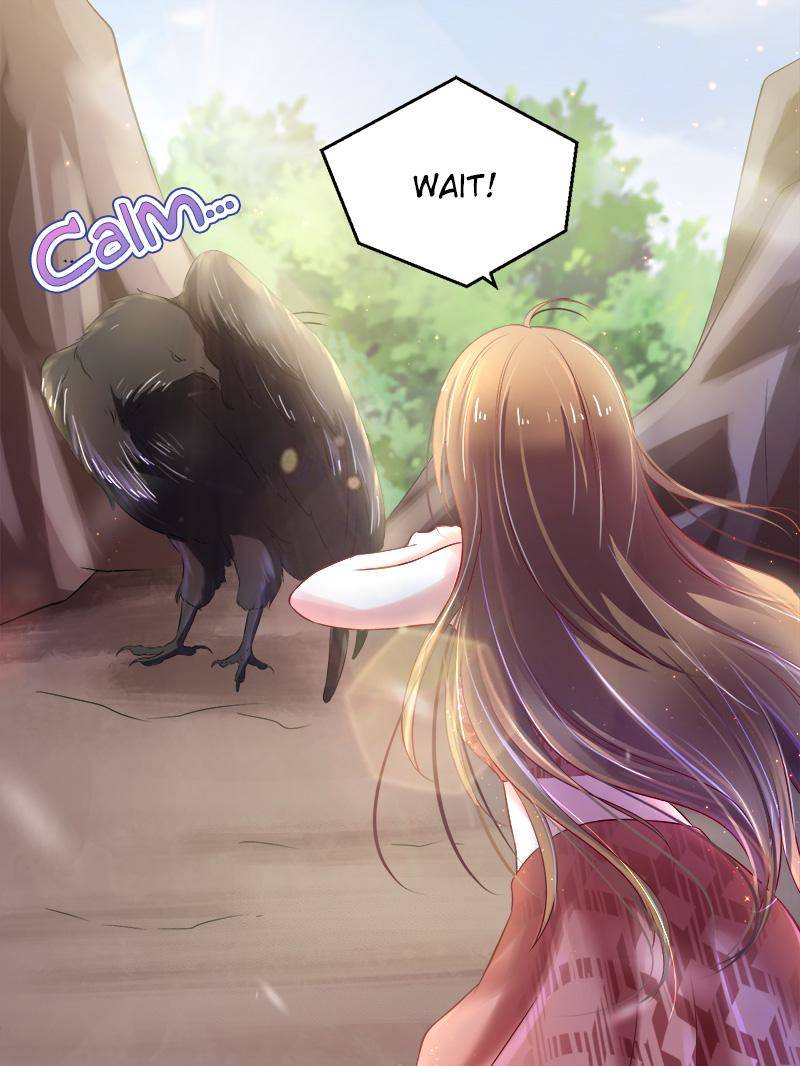 Page 13 of Chapter 31