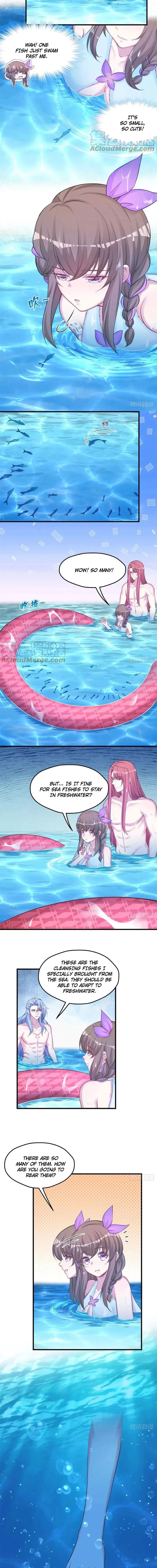 Page 5 of Chapter 311