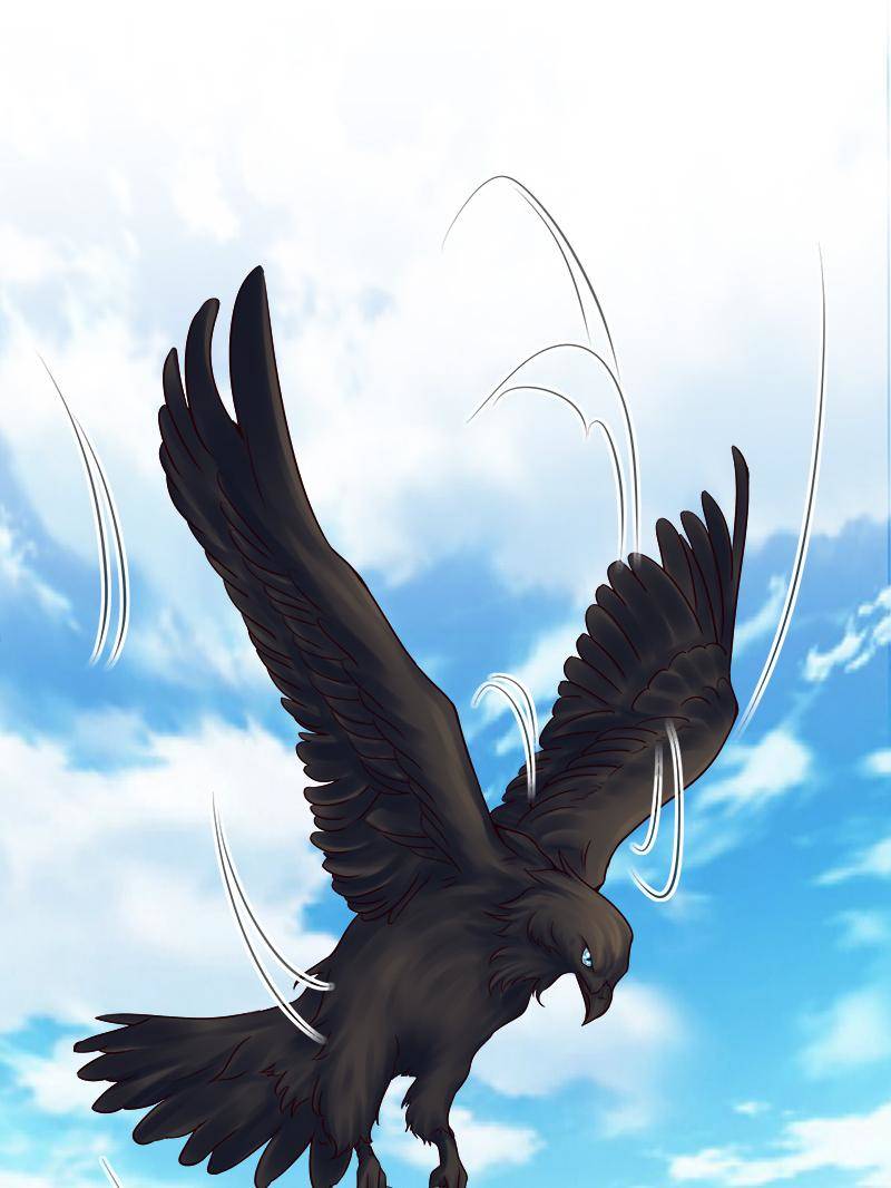 Page 14 of Chapter 34