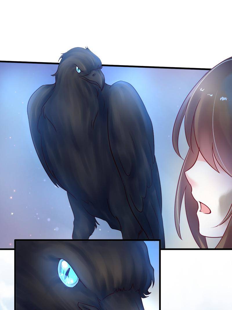 Page 25 of Chapter 34