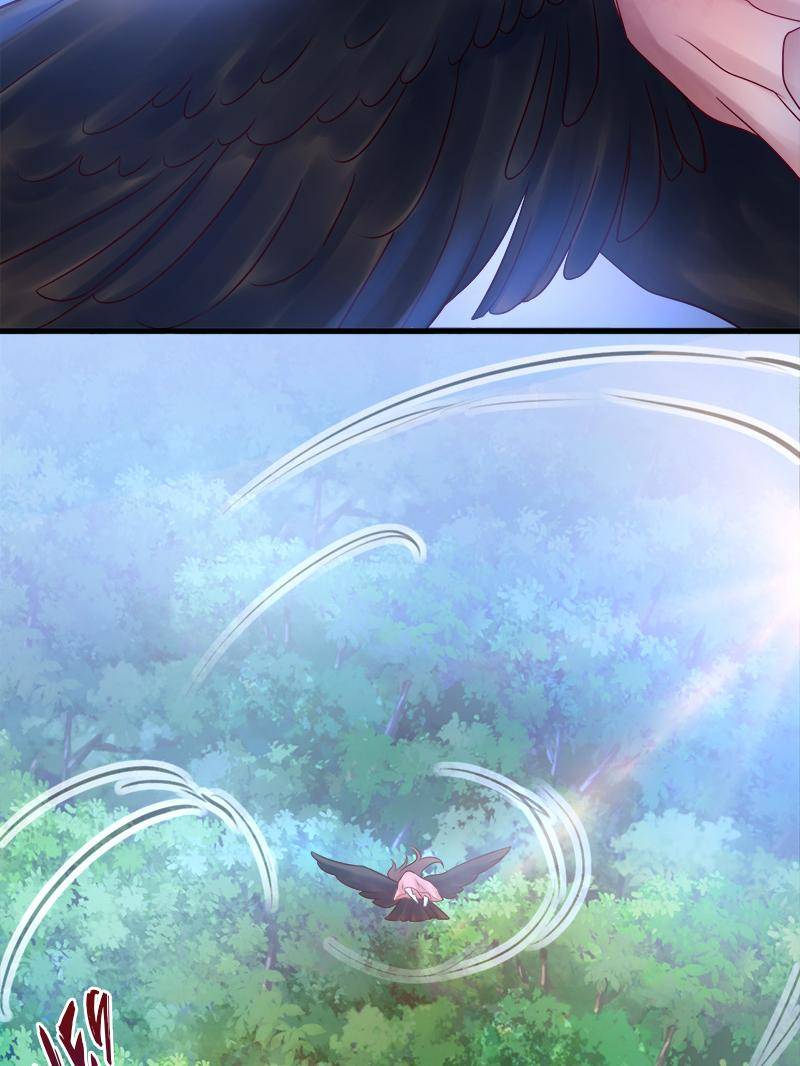 Page 13 of Chapter 35