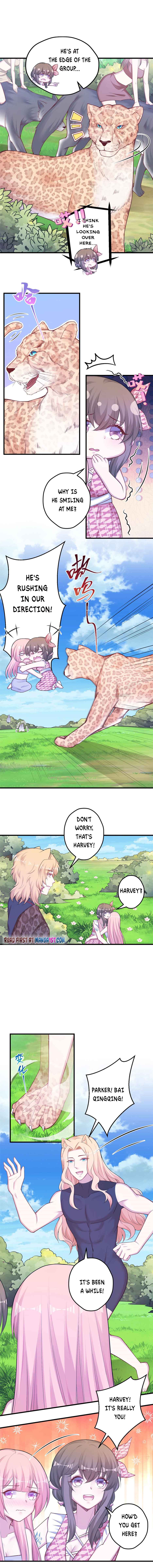 Page 4 of Chapter 378