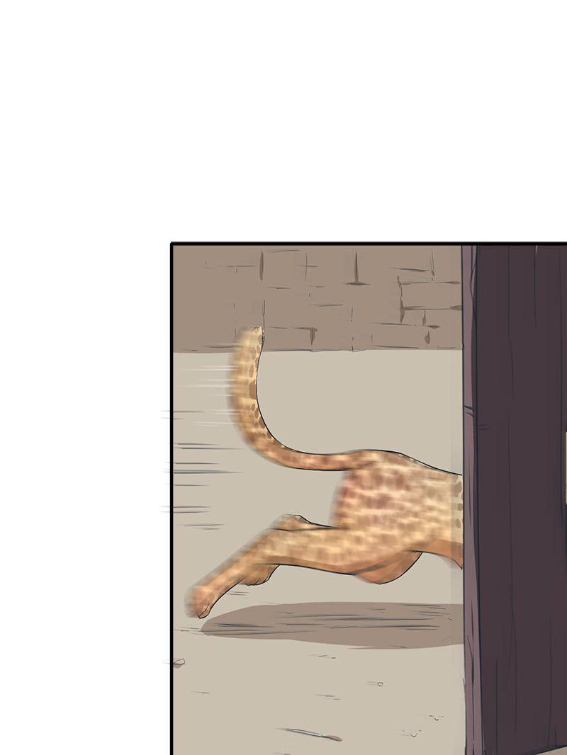 Page 13 of Chapter 39