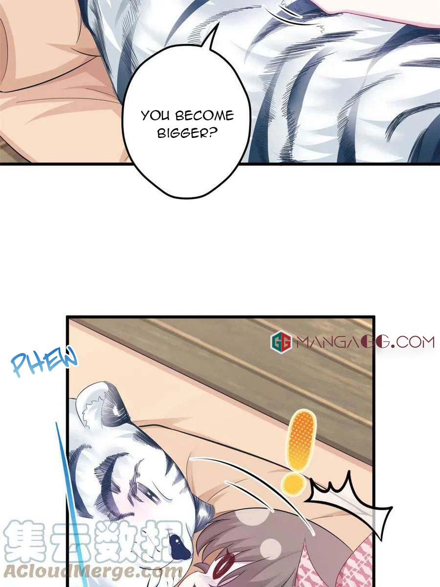 Page 40 of Chapter 390