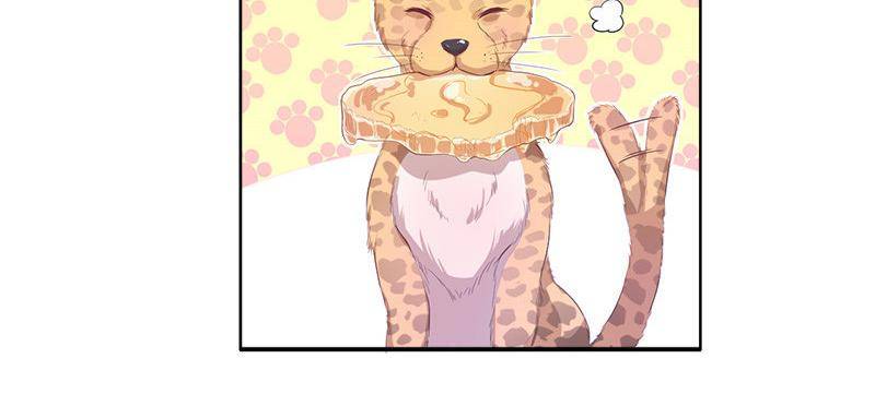 Page 11 of Chapter 40