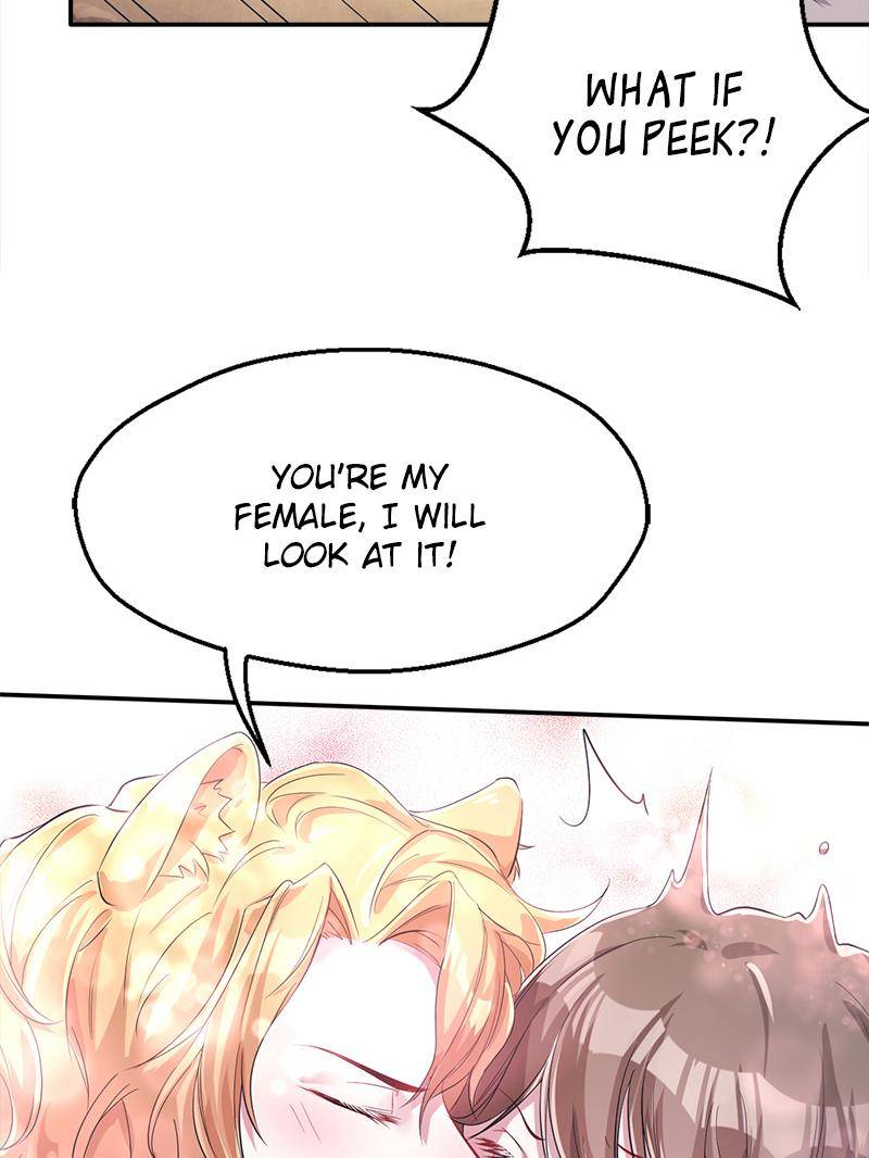 Page 25 of Chapter 41