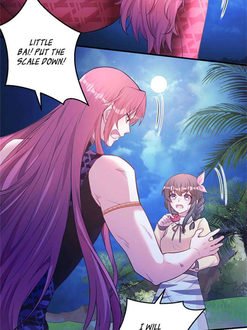 Page 4 of Chapter 482