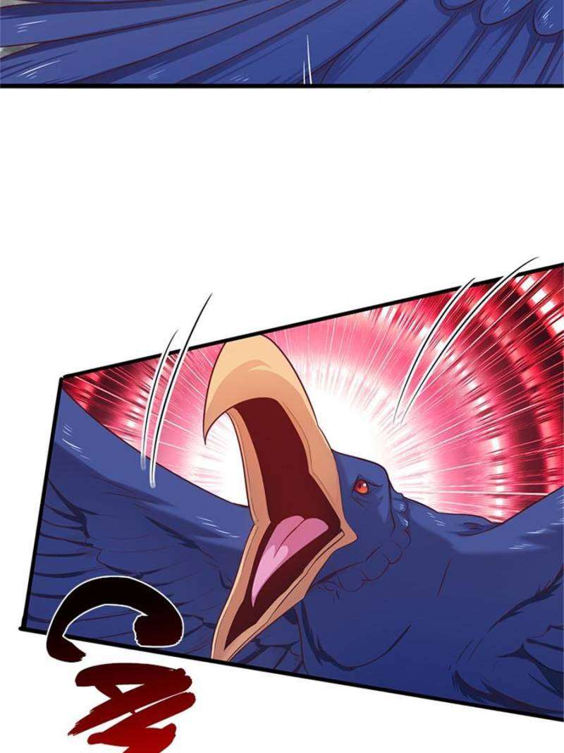Page 43 of Chapter 517
