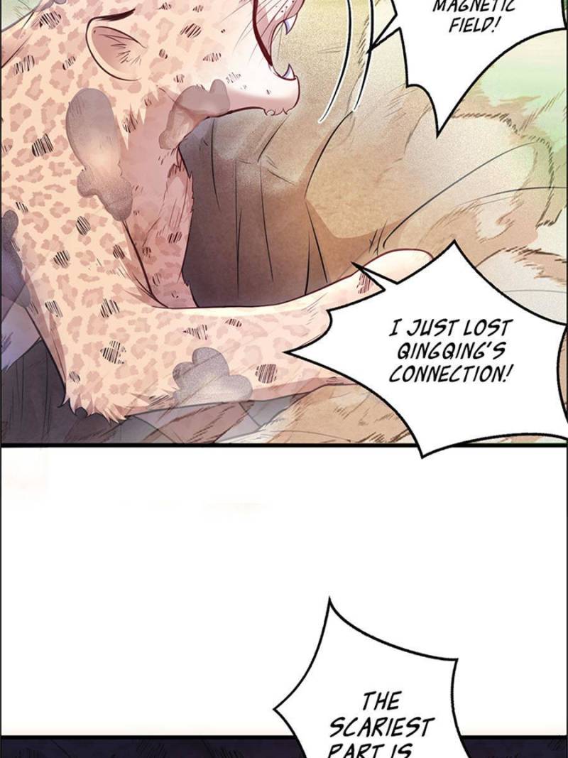 Page 17 of Chapter 531