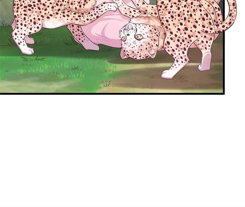 Page 17 of Chapter 574
