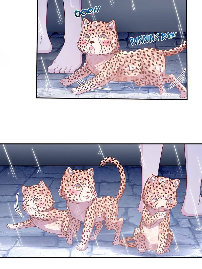 Page 41 of Chapter 588
