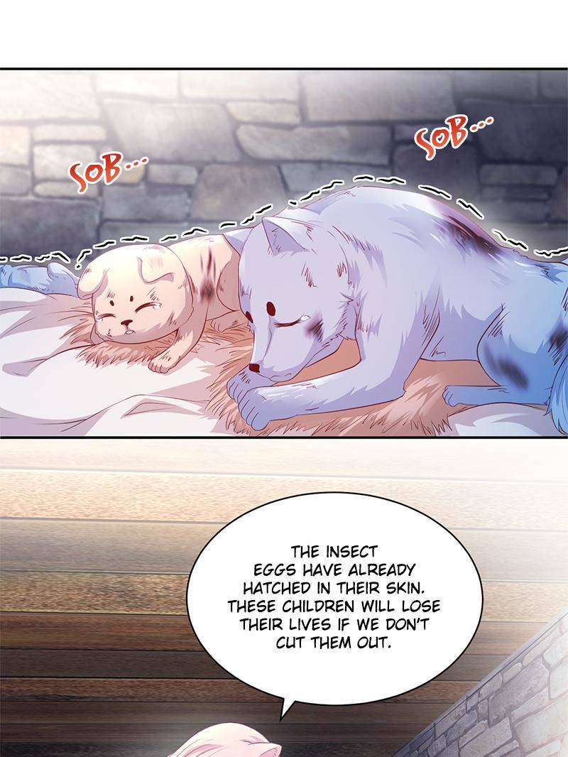 Page 20 of Chapter 608