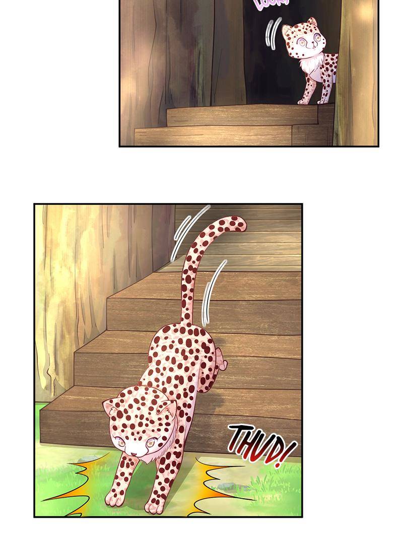 Page 3 of Chapter 611