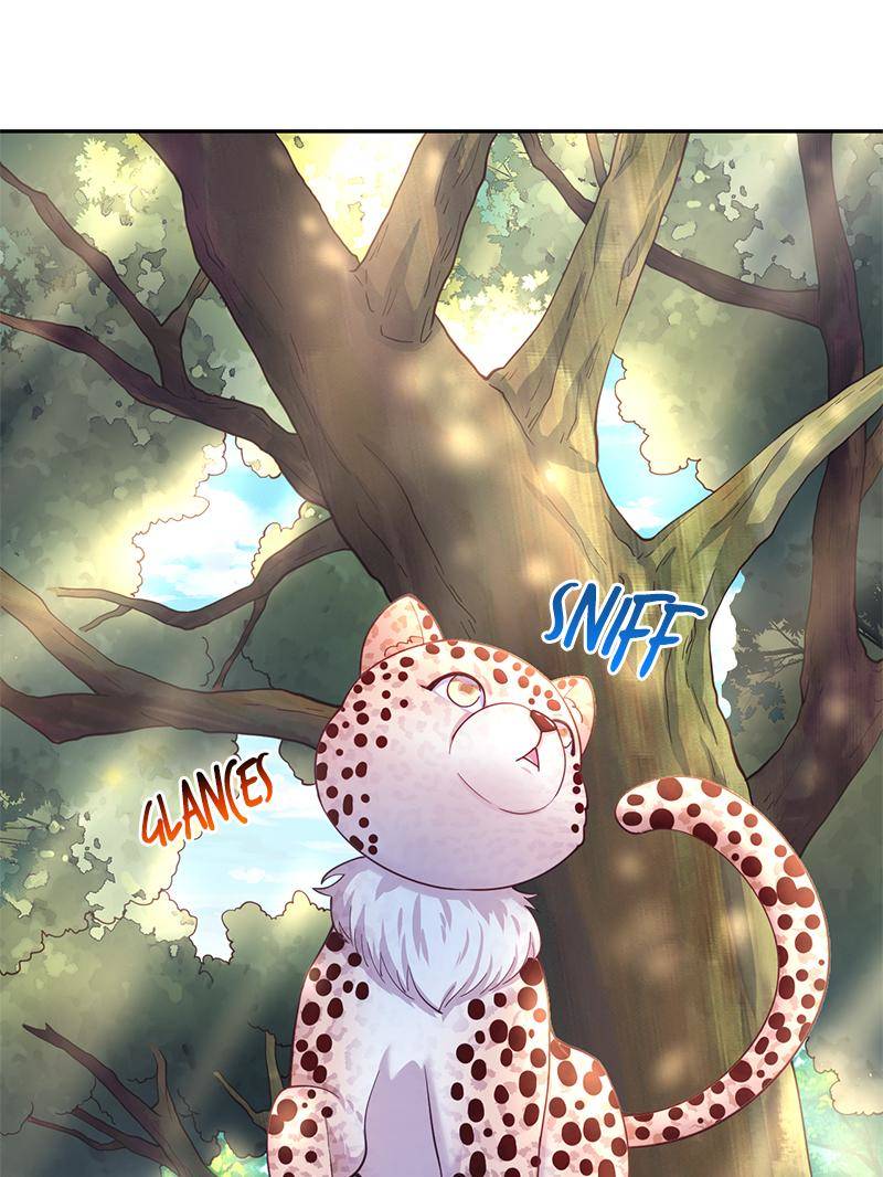 Page 4 of Chapter 611