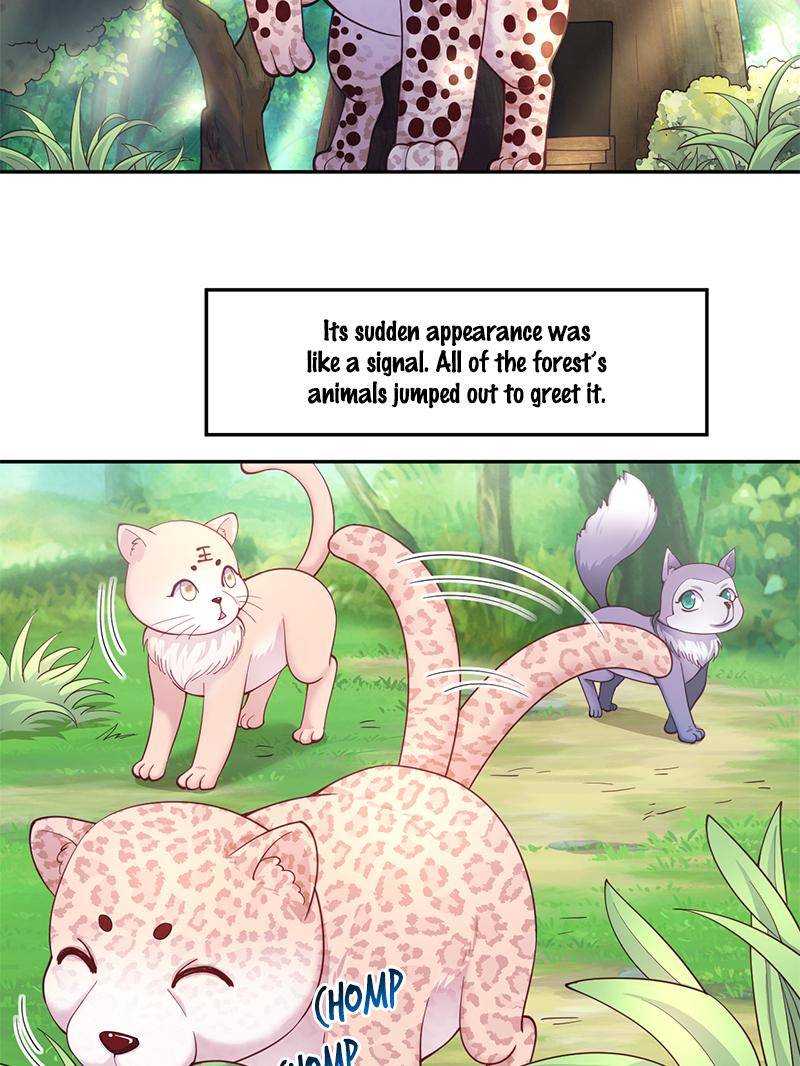 Page 5 of Chapter 611
