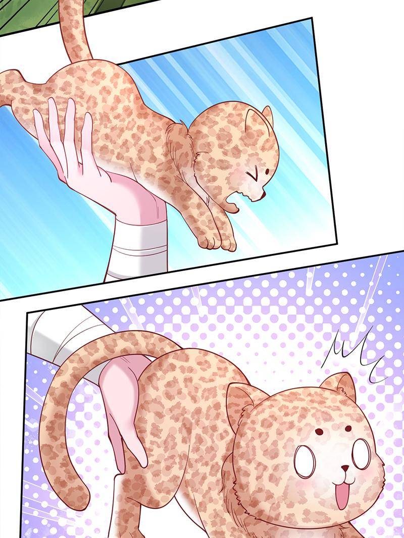 Page 20 of Chapter 613