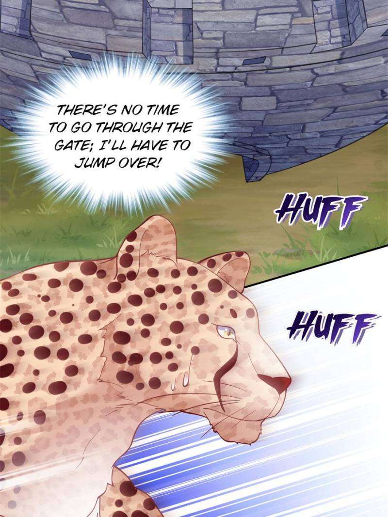 Page 36 of Chapter 626
